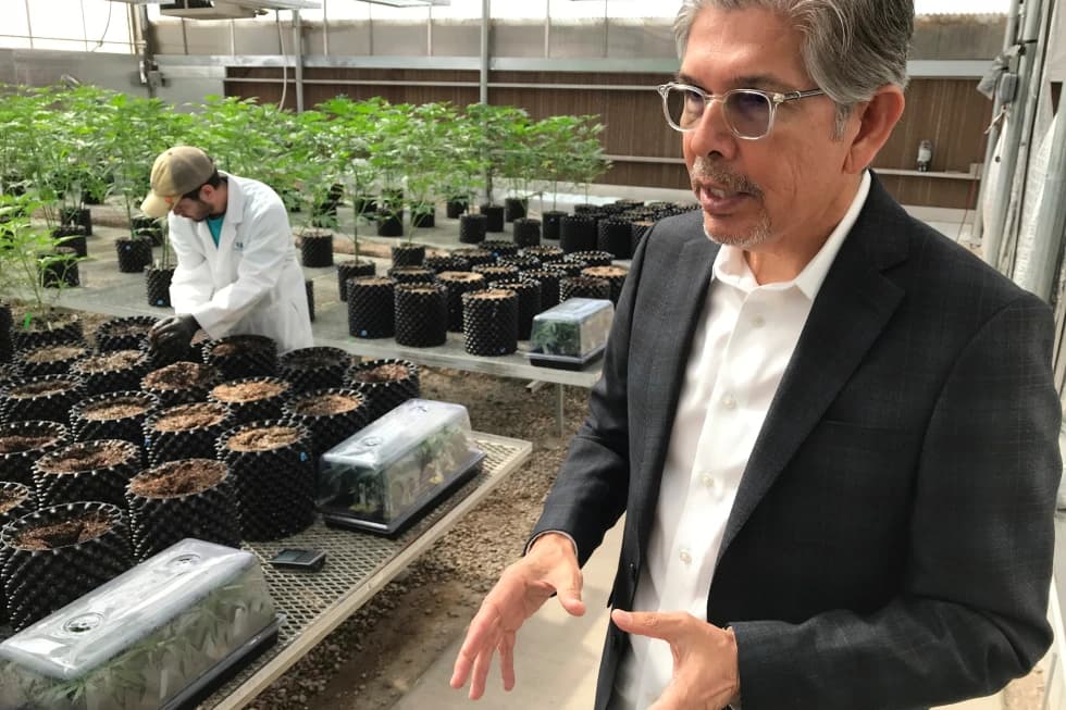 Cannabis entrepreneur Duke Rodriguez joins the race for New Mexico governor
