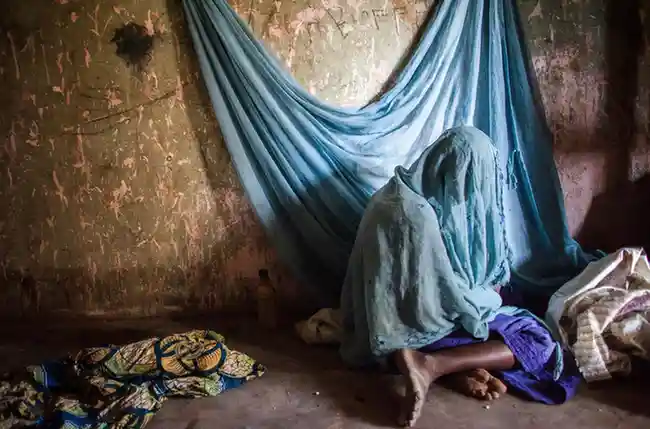 Global Malaria Progress Stalls as Funding Gaps, Climate Change, and Drug Resistance Threaten Gains