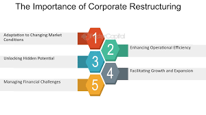  Key-role-of-Investment